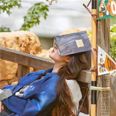 一个年轻人的冒险